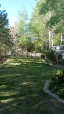 View of yard with view of scattered trees