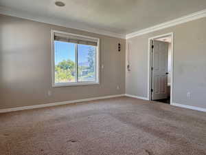 Carpeted master bedroom featuring crown molding and baseboards