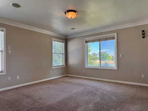 Master bedroom with crown molding and a textured ceiling