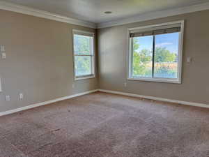 Bedroom featuring crown molding and carpet