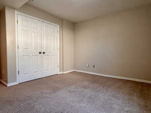 bedroom featuring carpet floors and a closet