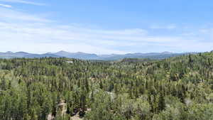 View of mountain backdrop with a forest