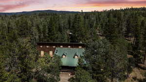 Aerial view at dusk of a view of trees