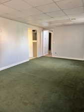 Empty room featuring carpet and a drop ceiling