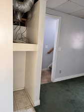 Below grade area with a drop ceiling, stairway, and light colored carpet