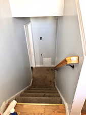 Stairs with carpet flooring and baseboards