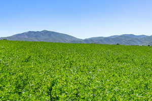View of mountain backdrop