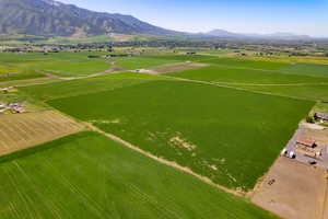 View of rural area with rows of crops and a mountainous background