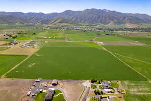 Aerial view of sparsely populated area featuring rows of crops and a mountainous background