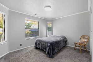 Carpeted bedroom with ornamental molding and a textured ceiling