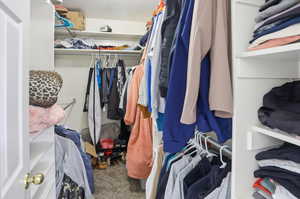 Spacious closet featuring carpet flooring