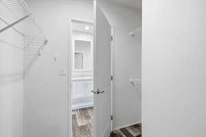 Walk in closet featuring dark wood-type flooring
