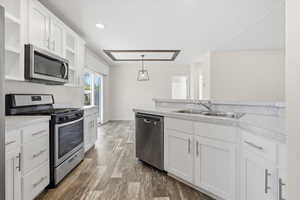 Kitchen featuring white cabinets, stainless steel appliances, wood finished floors, and recessed lighting