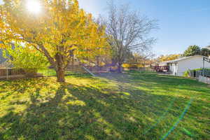 View of fenced backyard