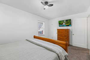 Bedroom featuring carpet flooring, a ceiling fan, and a closet