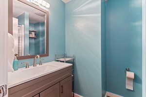 Bathroom featuring vanity and a shower with shower curtain