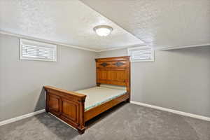 Bedroom featuring light colored carpet, a textured ceiling, and ornamental molding