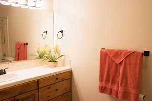 Bathroom featuring vanity and bathtub / shower combination