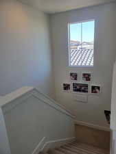 Staircase with baseboards and carpet