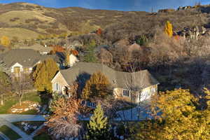 Bird's eye view of mountains and a tree filled landscape