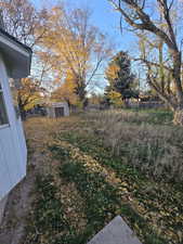 View of yard featuring a storage shed