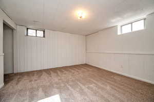 Basement featuring carpet and wood walls