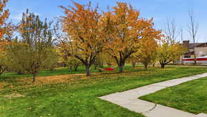 View of property's community with a lawn