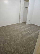 Basement Bedroom with carpet and a closet