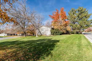 View of grassy yard