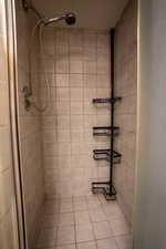 Second Bathroom tile shower (downstairs)