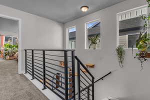 Upgraded Railing & Light and Bright Staircase