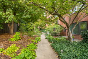 One of the beautiful walkways in Terrace Falls