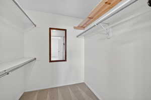 Spacious closet featuring carpet floors