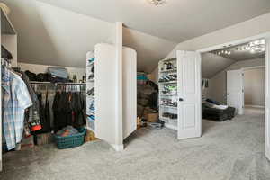 Spacious closet with light colored carpet and lofted ceiling