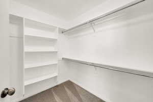 Walk in closet featuring light carpet