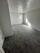Spare room featuring carpet and a textured ceiling