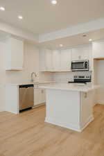 Kitchen with recessed lighting, light wood-style flooring, white cabinetry, and appliances with stainless steel finishes