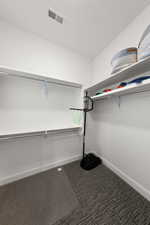 Spacious closet with dark colored carpet