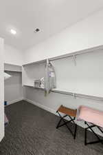 Spacious closet featuring dark colored carpet