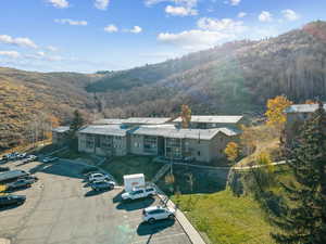 Aerial view of a mountainous background and a forest