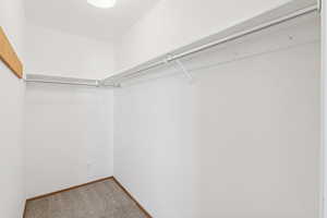 Spacious closet featuring carpet flooring