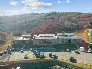 Bird's eye view of a heavily wooded area