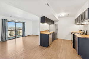 Kitchen featuring butcher block countertops, appliances with stainless steel finishes, light wood-style finished floors, under cabinet range hood, and gray cabinets