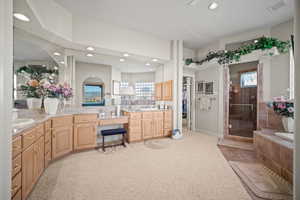 Full bath featuring a walk in closet, vanity, a shower stall, recessed lighting, and light colored carpet