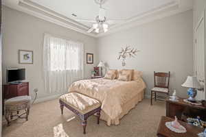 Bedroom with a tray ceiling, carpet, and a ceiling fan