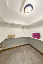Walk in closet with light colored carpet