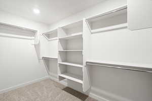 Spacious closet featuring light colored carpet