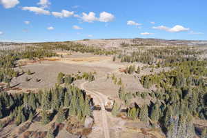 View of property location with a forest