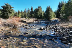 View of tree filled area