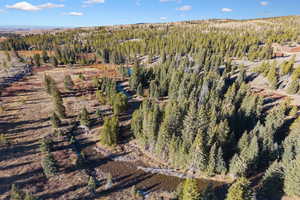 Aerial overview of property's location featuring a heavily wooded area
